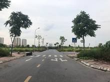 Hình ảnh Bán đất đấu giá  Cự Khối dãy TT3-xx vị trí đẹp, giá Trang MB66.COM Chính Thức - MB 66 Uy Tín, DT 85,8m2,