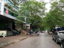 Hình ảnh Bán Gấp Tòa Nhà Văn Phòng Phố Trần Thái Tông 130m2x10 Tầng, giá 60 tỷ
