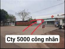 Hình ảnh Kẹt tiền bán gấp đất kế bên cty 5000 công nhận đang hoạt động giá 550t