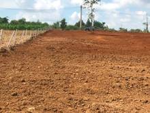 Hình ảnh Đất Sào khu dân cư xã Suối Rao - Châu Đức - BRVT