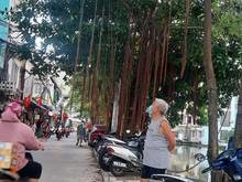 Hình ảnh chùa láng 38m gần hồ oto đỗ cổng gần trường đh ngoại thương gần hồ