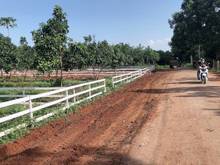 Hình ảnh Đất vườn giá rẻ- mặt tiền bám đường- tặng vườn cây có sẵn