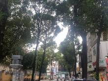 Hình ảnh Cho Thuê MẶT BẰNG kinh doanh Góc 2 Mặt Tiền View Sông  Hoàng Sa Quận 1