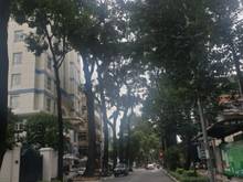 Hình ảnh Cho thuê nhà 4 Tầng, Khu Phố Nhật- Thái Văn Lung, Q1, DT: 4x10m, 48tr