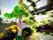 Hình ảnh Bán nhà mặt tiền Bến Thành Q1, 40m2 giá 18,5 tỷ LH Minh Ngọc Sky