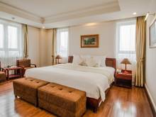 Hình ảnh Toàn nhà 7 tầng TT Quận 1 – Bùi Viện – Ngang 6m – 14 Phòng – HĐ Thuê 1