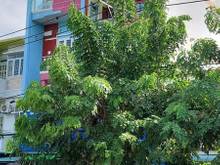 Hình ảnh Nhà Mặt tiền LÊ THỊ RIÊNG, Q.12, ngang 4m, dài 27m, 4 tầng, chỉ 9 tỷ