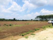 Hình ảnh Bán đất diện tích lớn 1000m2 tại xã Bàu Cạn - Long Thành