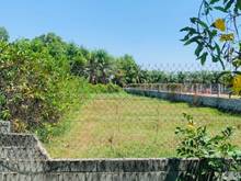Hình ảnh Đất vườn Củ Chi tỉnh lộ 2 533m2 giá rẻ + ngộp ra gấp 1ty276 SHR