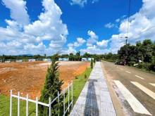 Hình ảnh Hiện tại bây giờ em có 3sao đất đã lên thổ và tách ra từng nền