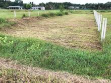Hình ảnh Cần tiền bán gấp 265m2 đất, 850tr, sổ hồng, Bùi Thị Ngọn, ANT, Củ Chi