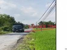 Hình ảnh Bán miếng đất 1000m2 xã Tân Lân huyện Cần Đước