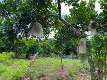 Hình ảnh Kẹt tiền trả mặt bằng. cần sang nhượng gấp lô đất