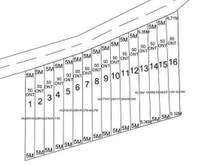 Hình ảnh Bán đất Ngay  Thị Xã Bình Long ,Bình Phước, 5×45(50m),sổ riêng,giá 320
