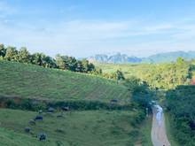 Hình ảnh ĐẦU tư sinh lời khủng với lô ĐẤT tại cao phong-hòa bình chỉ nhỉnh 1 tỷ
