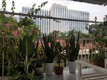 Hình ảnh Cần Cho Nữ Thuê Phòng Sạch, Đẹp Mới Xây Bên Cạnh Kdc Himlam, Thứ Đức