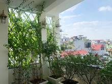 Hình ảnh Bán nhà Mỹ Đình, 33m, NHÀ MỚI THIẾT KẾ ĐẸP, NỘI THẤT XỊN, nhình 3 tỷ