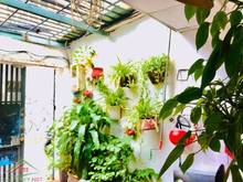 Hình ảnh Bán gấp nhà MT đường Trần Hữu Trang, P11, Phú Nhuận, 66m2 - 13 tỷ 500