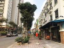 Hình ảnh Bán lk lacasta khu đô thị văn phú 86m2, 4t, lô góc 3 mặt đường, kinh