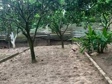 Hình ảnh Bán lô đất giá rẻ tại Mê Linh 15tr/m Trang Việt, Mê Linh, Hà Nội, ô tô
