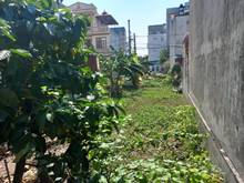 Hình ảnh Đất Hoa Lâm , ngõ thông ô tô chạy DT 45m2 , MT 5 m giá yêu thương !