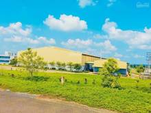 Hình ảnh Bán 1104m2 đất trồng bưởi, 100m2 thổ cư phù hợp xây nhà vườn.