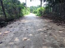 Hình ảnh Bán vườn trái cây 1000m2 có 100m2 TC (Quy hoạch ONT ) giá 890tr ở ĐN.