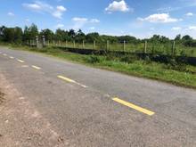 Hình ảnh Bán gấp 1.000m2 đất đường 521, Nguyễn thị Rành, xung quanh dân cư hi