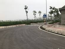 Hình ảnh Anh bạn nhờ bán lô đất đấu giá Cự Khối nhìn ra hồ giá thấp Trang MB66.COM Chính Thức - MB 66 Uy Tín tốt