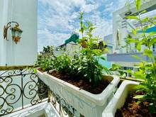 Hình ảnh Cho thuê biệt thự VIP 20x30 1 trệt 3 lầu thích hợp công ty