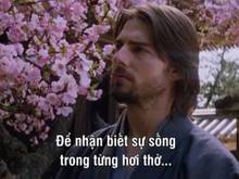Hình ảnh aaaaa ádsadasdasđsada ádsadasdasdasdasdasdasdasd
