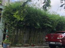 Hình ảnh Bán cặp nhà song sinh - giá bình dị - 96m2 - Mặt Tiền TMT - 4.3 tỷ.