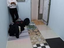 Hình ảnh phòng trọ 12m2 lý thường kiệt quận 11