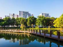 Hình ảnh chuyển nhượng Trang Chủ MB66.COM / Đăng Ký Tặng 66K 1PN khu Emerald Celadon City
