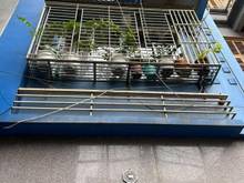 Hình ảnh Giảm Sốc 500 triệu Bán nhanh Nhà Xuân Thủy, Ôtô 7 Chỗ vào, chỉ 6.5 tỷ