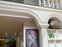 Hình ảnh Nhà HXH 8m, lề đường 3m, 62m2, 6 tấm, Lê Đức Thọ, Gò Vấp