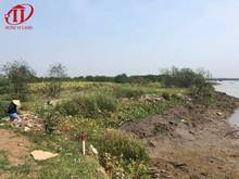 Hình ảnh HUNGVILAND Cần bán 1998m2 đất trồng cây lâu năm, P. Long Phước, Quận 9