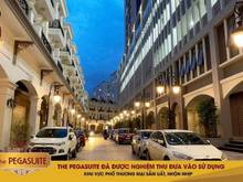 Hình ảnh cho thuê nhà trống 75m2 the pegasuite 1 view hồ bơi