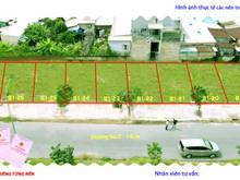 Hình ảnh Thanh Lý gấp lô đất B1-22,23,24. DT: 260,10m2 KDC Tân Tạo