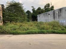 Hình ảnh Đất Trống 15m x 35m(525m2) cần cho Thuê.