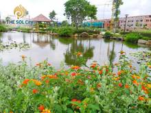 Hình ảnh Booking The Sol City - 50 triệu/book - Nhà phố vườn - Ưu đãi cực lớn