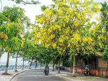 Hình ảnh Giảm sốc 6 Tỷ! Chủ cần Tiền bán gấp Nhà Mặt Phố Trích Sài VIEW Hồ Tây.