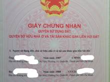 Hình ảnh Nhà nát tiện xây mới, chỉ tính giá đất hẻm Nguyễn Sỹ Sách, Tân Bình