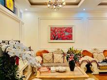 Hình ảnh Cực hiếm! P/lô ô tô tránh, view royal city nguyễn trãi thanh xuân