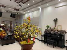 Hình ảnh Cần bán nhà 3 tầng MT đường Lý Nhân Tông , 92.5m2, giá 8.9 tỷ