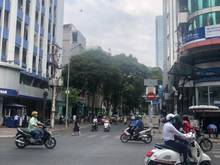 Hình ảnh Bán nhà Nguyễn Công Trứ - Hồ Tùng Mậu, P. Nguyễn Thái Bình, Quận 1