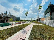 Hình ảnh Khu nhà phố cao cấp Vườn Lài Garden với hồ bơi, MB66 là nhà cái uy tín hàng đầu tại Việt Nam cây xanh.