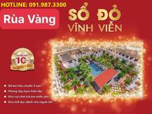 Hình ảnh Khách hàng phàn nàn rằng họ không muốn sở hữu Rùa Vàng City vì Sợ: