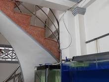 Hình ảnh Nhà Bùi Viện 4 tầng, Quận 1, gần Mặt tiền kinh doanh, giá chỉ 18 tỷ