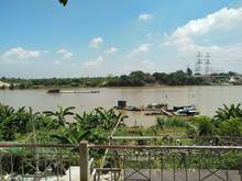 Hình ảnh Hiếm! Bán đất Tình Quang, view trực diện sông Đuống, 54m2, 2.5 tỷ